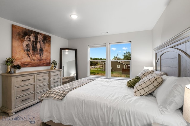 402 W Manhattan Ave Unit B, Manhattan, MT 59741 - bedroom with light colored carpet