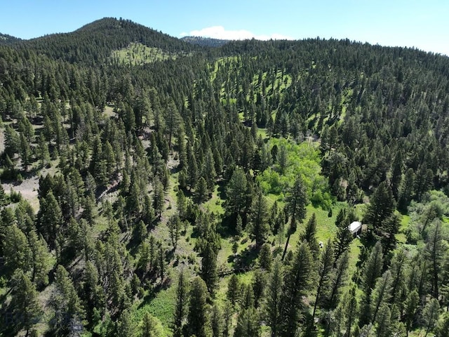 TBD(40+/-acres) Hope Road, Helmville, MT 59843