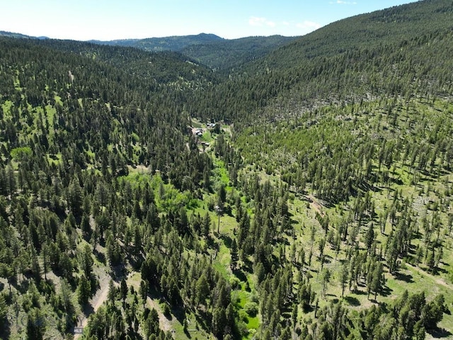 TBD(40+/-acres) Hope Road, Helmville, MT 59843