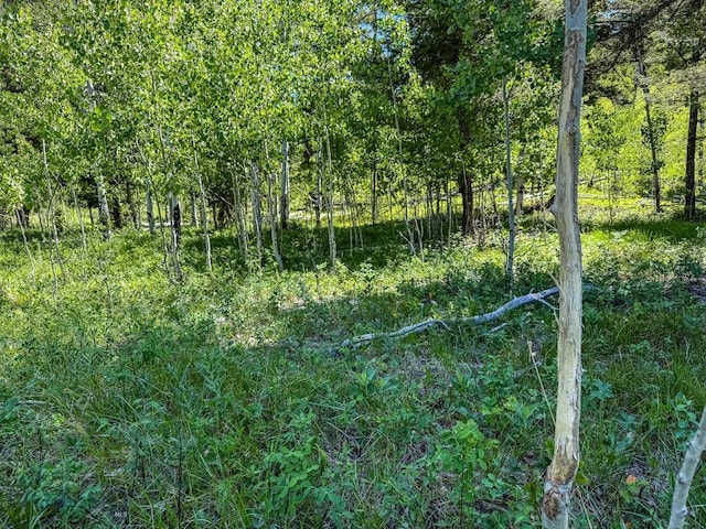 TBD(40+/-acres) Hope Road, Helmville, MT 59843