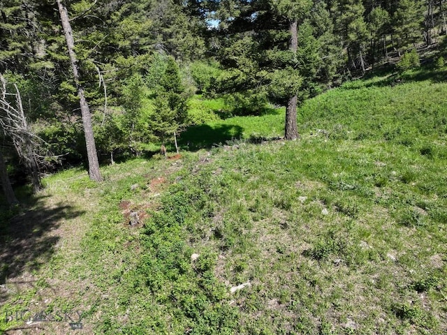 TBD(40+/-acres) Hope Road, Helmville, MT 59843