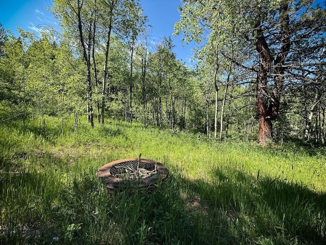 TBD(40+/-acres) Hope Road, Helmville, MT 59843