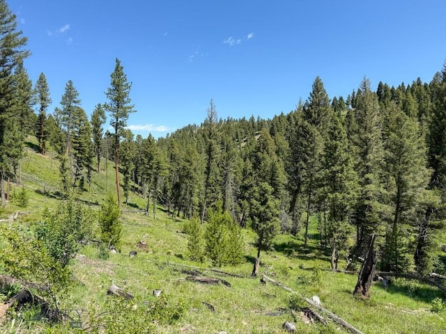 TBD(40+/-acres) Hope Road, Helmville, MT 59843
