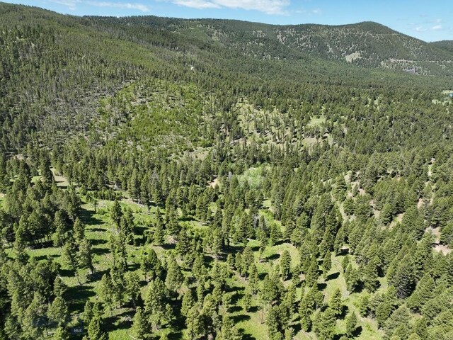 TBD(40+/-acres) Hope Road, Helmville, MT 59843