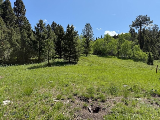 TBD(40+/-acres) Hope Road, Helmville, MT 59843