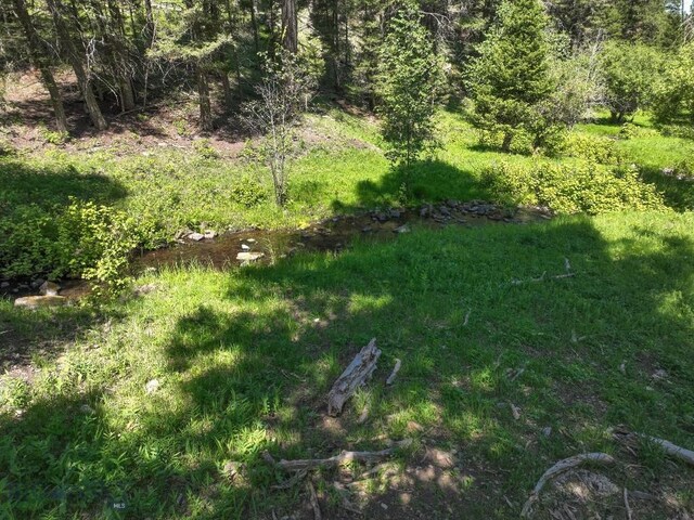 TBD(40+/-acres) Hope Road, Helmville, MT 59843