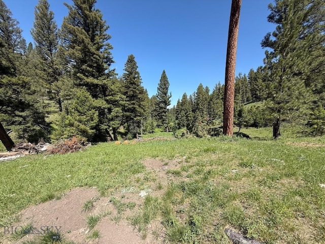 TBD(40+/-acres) Hope Road, Helmville, MT 59843