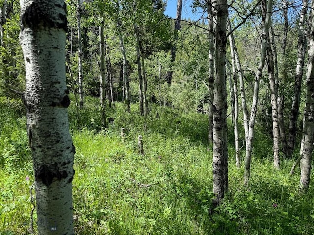TBD(40+/-acres) Hope Road, Helmville, MT 59843
