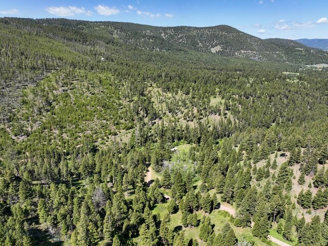 TBD(40+/-acres) Hope Road, Helmville, MT 59843
