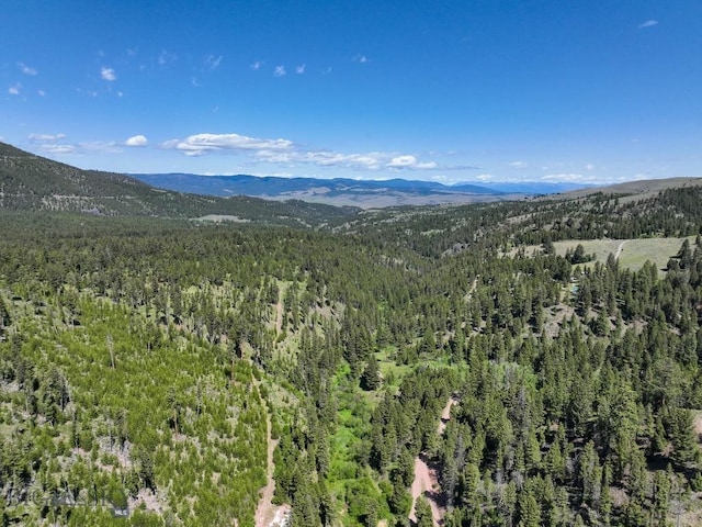 TBD(40+/-acres) Hope Road, Helmville, MT 59843