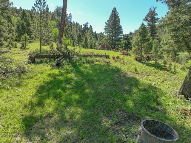 TBD(40+/-acres) Hope Road, Helmville, MT 59843