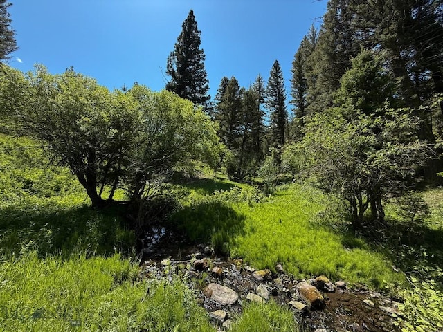 TBD(40+/-acres) Hope Road, Helmville, MT 59843