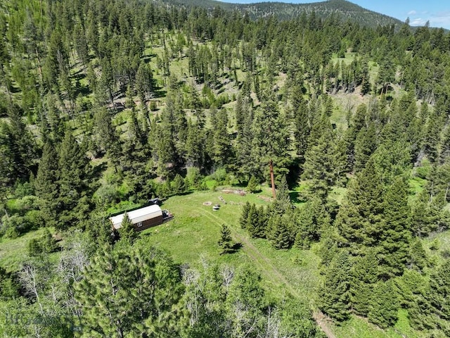 TBD(40+/-acres) Hope Road, Helmville, MT 59843