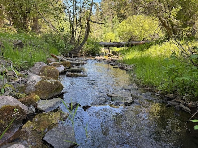 TBD(40+/-acres) Hope Road, Helmville, MT 59843