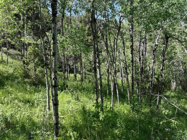 TBD(40+/-acres) Hope Road, Helmville, MT 59843