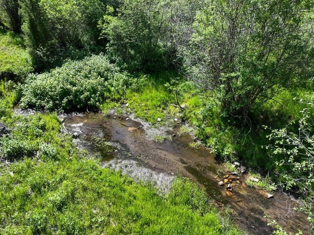 TBD(40+/-acres) Hope Road, Helmville, MT 59843