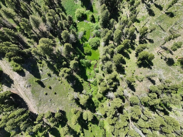 TBD(40+/-acres) Hope Road, Helmville, MT 59843