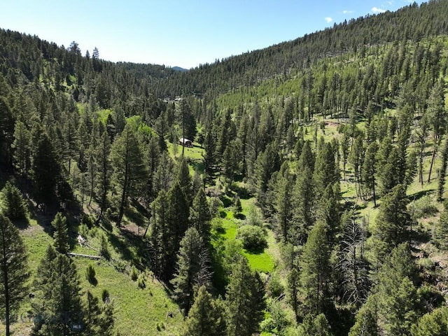 TBD(40+/-acres) Hope Road, Helmville, MT 59843