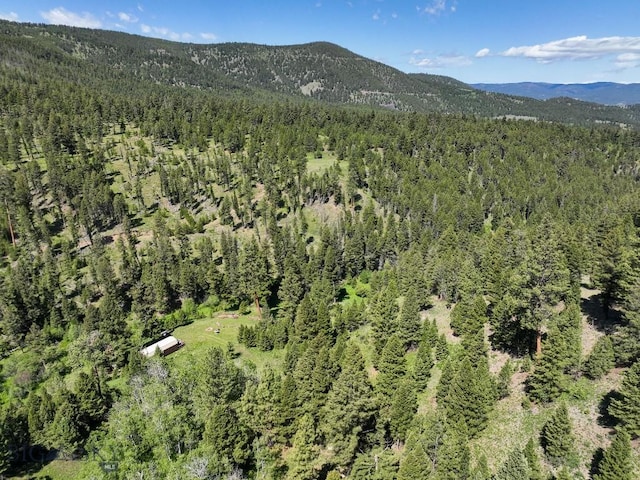 TBD(40+/-acres) Hope Road, Helmville, MT 59843