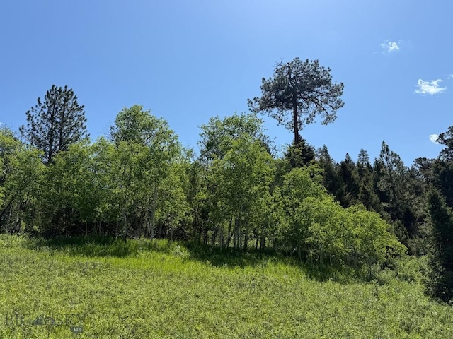TBD(40+/-acres) Hope Road, Helmville, MT 59843