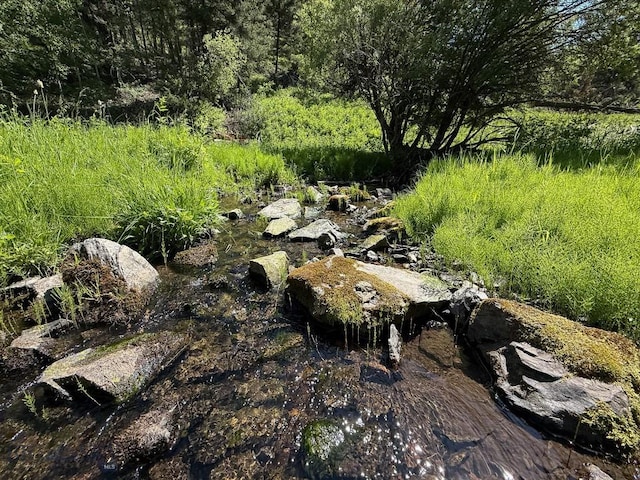 TBD(40+/-acres) Hope Road, Helmville, MT 59843