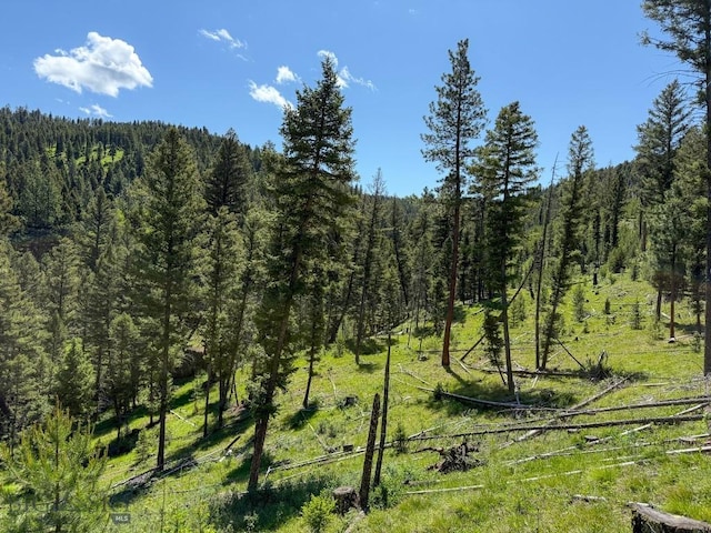 TBD(40+/-acres) Hope Road, Helmville, MT 59843