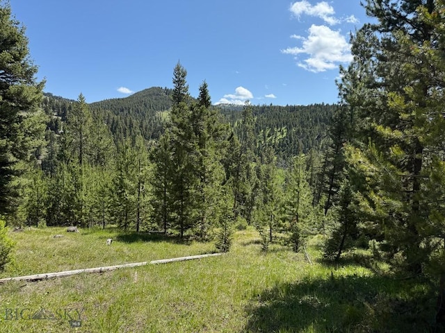 TBD(40+/-acres) Hope Road, Helmville, MT 59843
