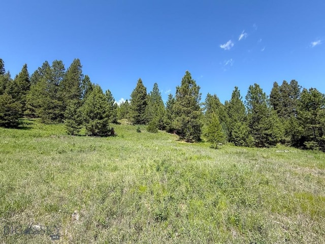 TBD(40+/-acres) Hope Road, Helmville, MT 59843