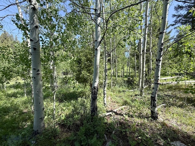 TBD(40+/-acres) Hope Road, Helmville, MT 59843