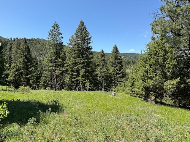 TBD(40+/-acres) Hope Road, Helmville, MT 59843
