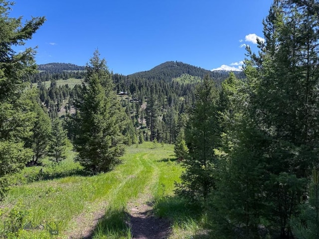 TBD(40+/-acres) Hope Road, Helmville, MT 59843