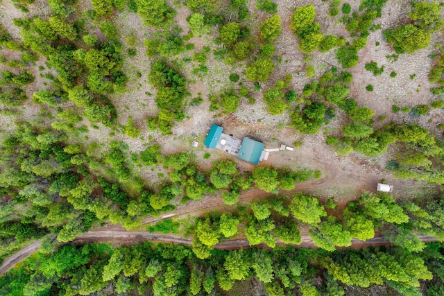 84 Sugarloaf Mountain Ln, Craig, MT 59421 - photo 2