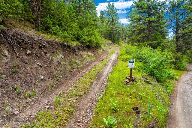 84 Sugarloaf Mountain Ln, Craig, MT 59421 - photo 35