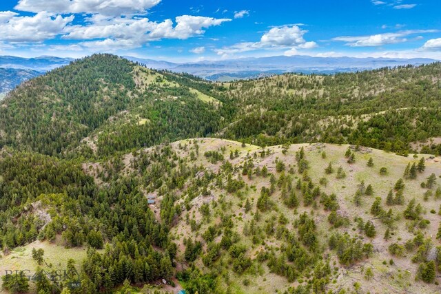 84 Sugarloaf Mountain Ln, Craig, MT 59421 - photo 36