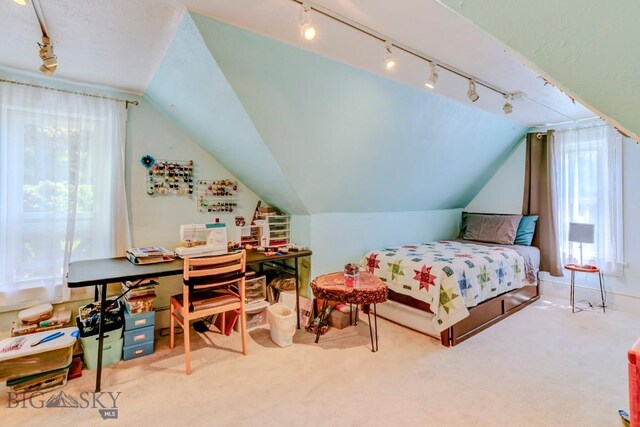 606 W Gallatin St, Livingston, MT 59047 - photo 30