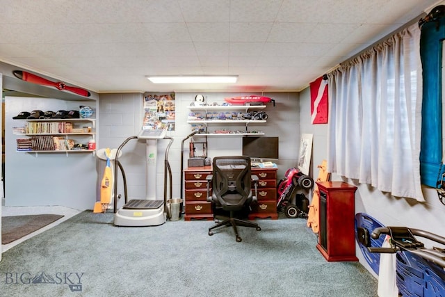 606 W Gallatin St, Livingston, MT 59047 - photo 38