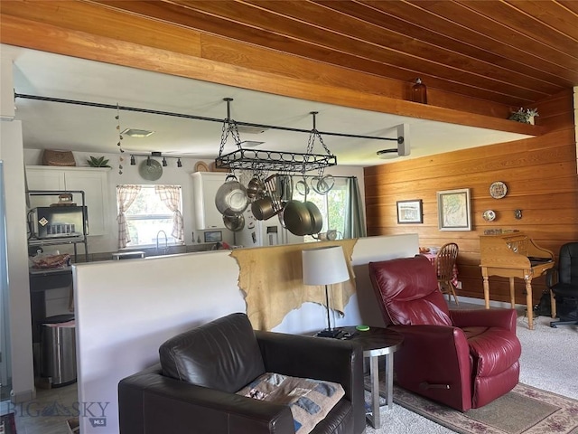 1914 Haggin, Anaconda, MT 59711 - living room featuring healthy amount of natural light, wood walls, and carpet