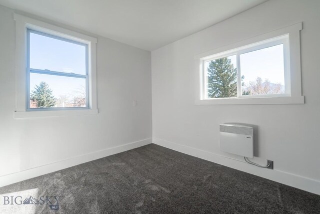 416 N 3rd St, Livingston, MT 59047 - spare room with dark carpet and baseboards