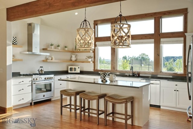 243 Tinkers Ln, Bozeman, MT 59718 - kitchen with ventilation hood, stainless steel appliances, light wood-type flooring, white cabinets, and dark countertops