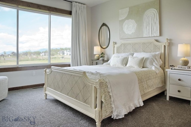 243 Tinkers Ln, Bozeman, MT 59718 - bedroom with dark colored carpet and baseboards