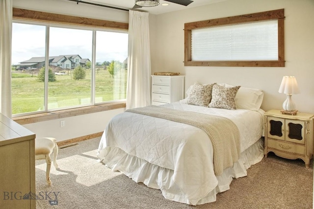 243 Tinkers Ln, Bozeman, MT 59718 - carpeted bedroom with baseboards