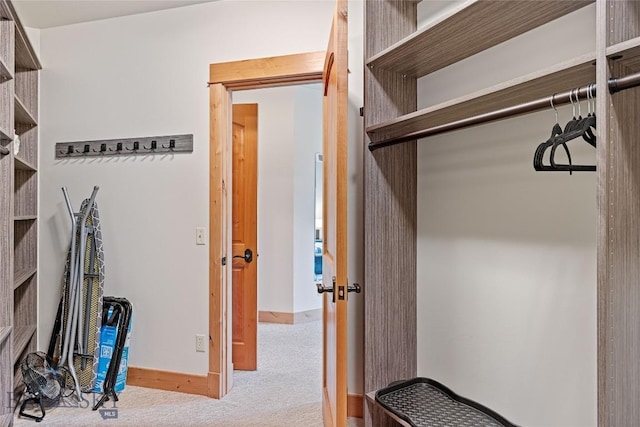 99 Pheasant Tail Ln Unit 1, Big Sky, MT 59716 - walk in closet featuring carpet flooring
