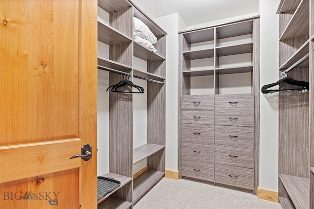99 Pheasant Tail Ln Unit 1, Big Sky, MT 59716 - view of walk in closet