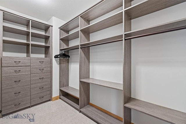 99 Pheasant Tail Ln Unit 1, Big Sky, MT 59716 - walk in closet featuring carpet