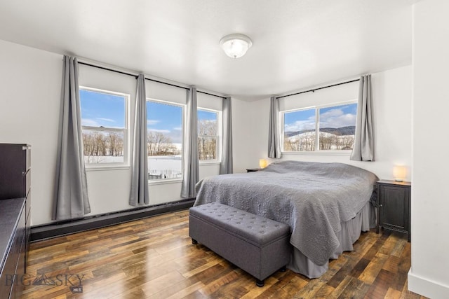 12977 Cottonwood Rd, Bozeman, MT 59718 - bedroom featuring baseboard heating and dark wood-style floors