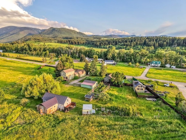 12977 Cottonwood Rd, Bozeman, MT 59718 - drone / aerial view of mountains and a forest