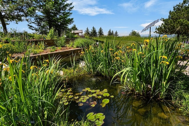 8965 Sandy Creek Ln, Bozeman, MT 59715 - photo 50