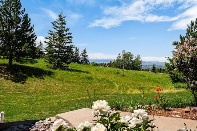 8965 Sandy Creek Ln, Bozeman, MT 59715 - photo 80