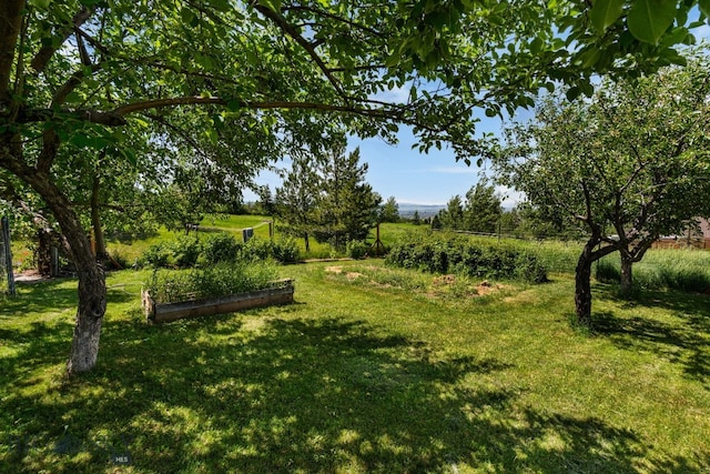 8965 Sandy Creek Ln, Bozeman, MT 59715 - photo 84