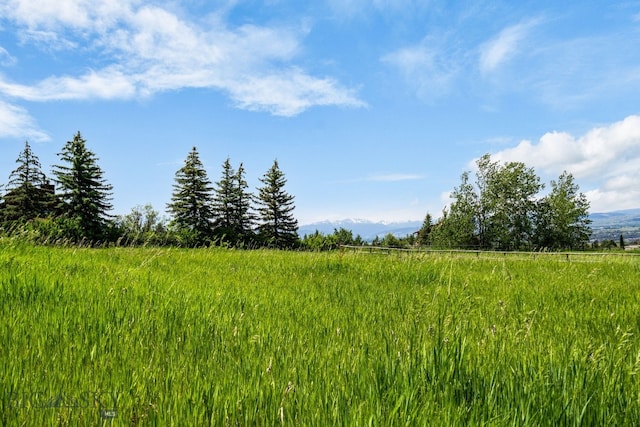 8965 Sandy Creek Ln, Bozeman, MT 59715 - photo 91